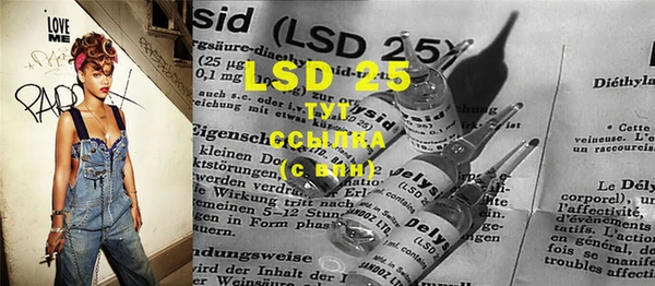 крисы Майский