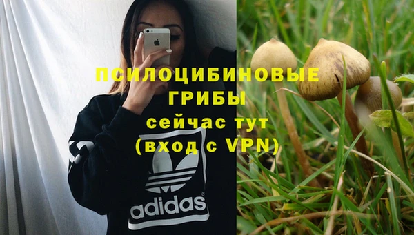 мескалин Магас