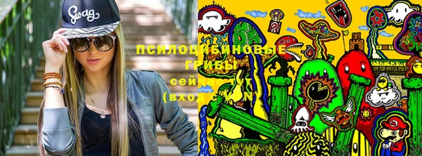 гидропоника Магадан