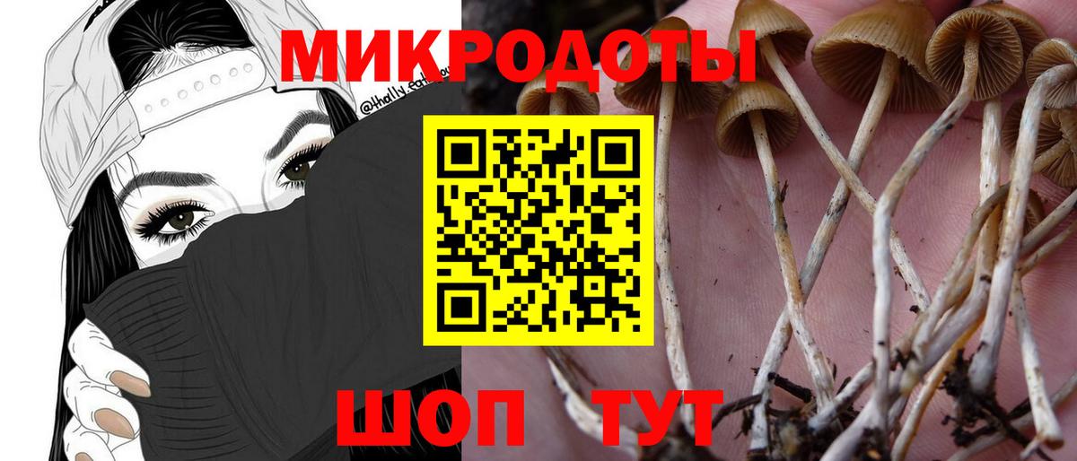 Малгобек  Галлюциногенные грибы MAGIC MUSHROOMS  Псилоцибиновые грибы Magic Shrooms  Вход с VPN 