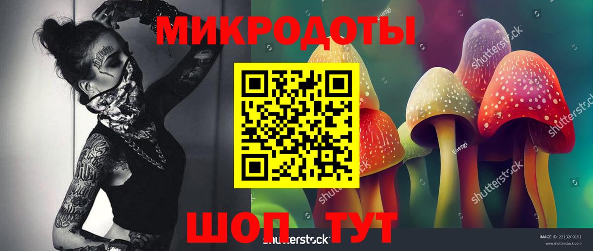 Псилоцибиновые грибы GOLDEN TEACHER  Малгобек 